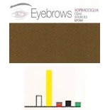 443 Blond 7 Cejas