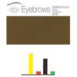 446 Brown 2 Cejas