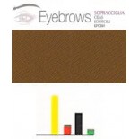 448 Brown 4 Cejas