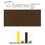 491 Brown 7 Cejas