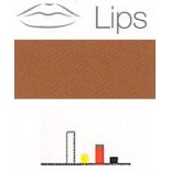 478 NAT Biolip 31 Labios